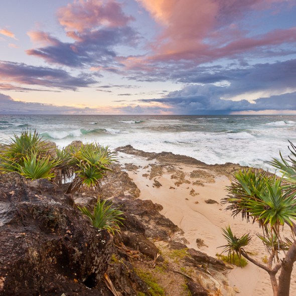 panadanas, sunrise, colour rocks