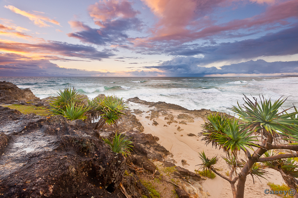 tropical pandannas beach sunrise