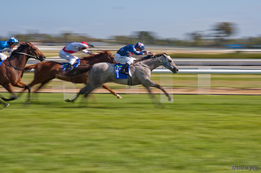 reaching for the line horse racing