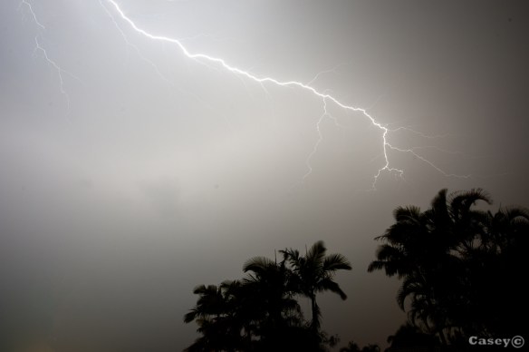 lighning strike with palm tree silouette