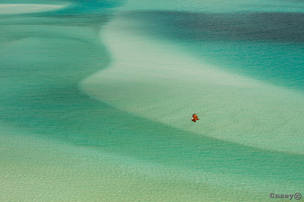 Hill's inlet shallows