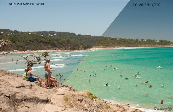 polariser, polarizer