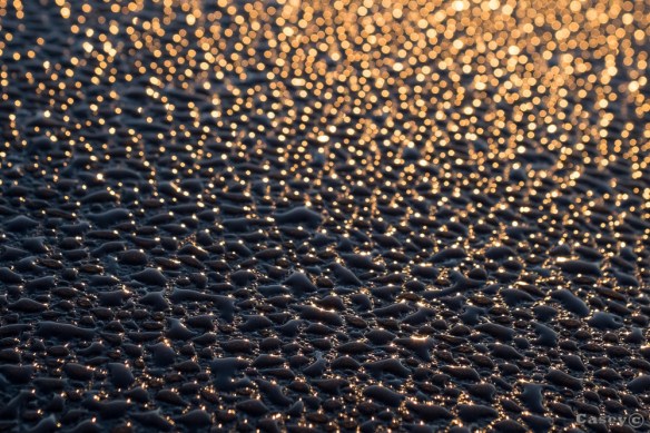 sunrise bokeh bubbles
