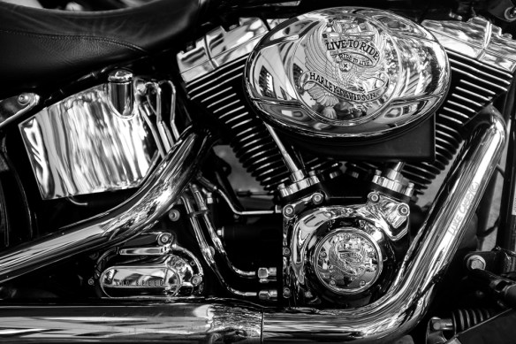 Harley Davidson B&W