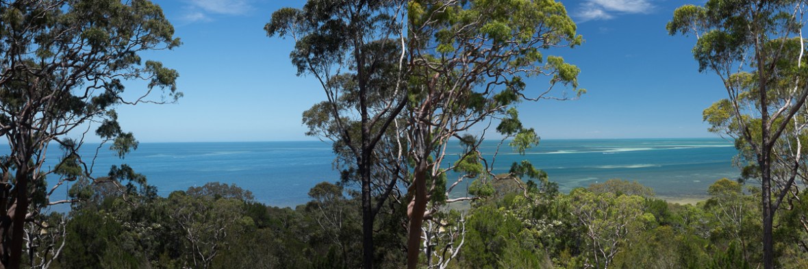 polariser comparison